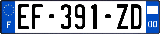 EF-391-ZD