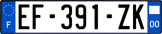 EF-391-ZK