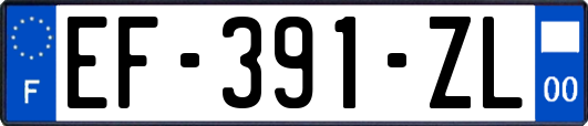 EF-391-ZL