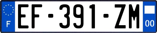 EF-391-ZM