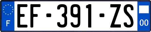 EF-391-ZS