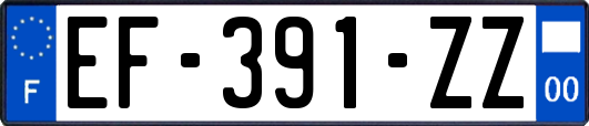 EF-391-ZZ