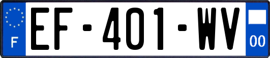 EF-401-WV