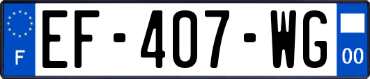 EF-407-WG