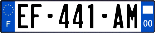 EF-441-AM