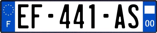 EF-441-AS