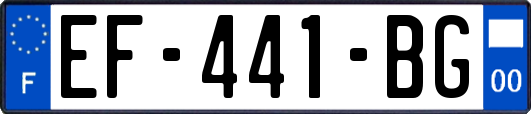 EF-441-BG