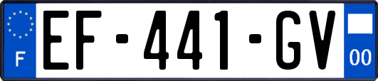EF-441-GV