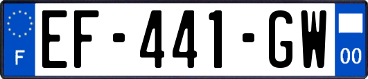 EF-441-GW