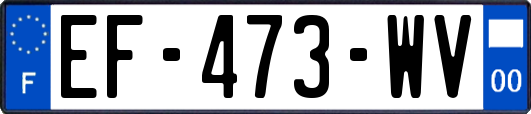 EF-473-WV