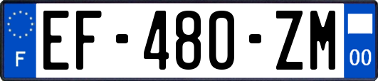 EF-480-ZM