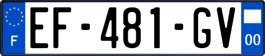 EF-481-GV