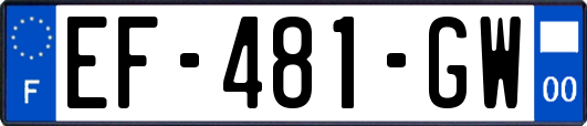 EF-481-GW