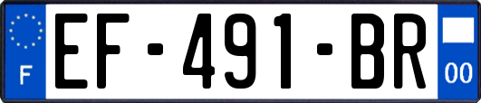 EF-491-BR
