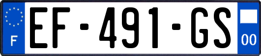 EF-491-GS