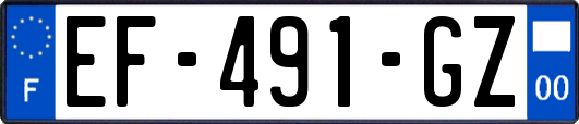 EF-491-GZ