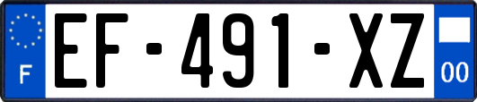 EF-491-XZ