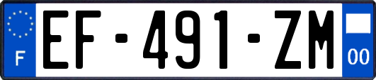 EF-491-ZM