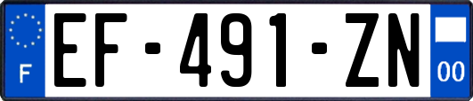 EF-491-ZN