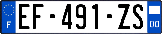 EF-491-ZS