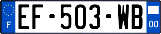 EF-503-WB