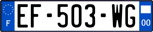 EF-503-WG