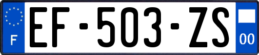 EF-503-ZS