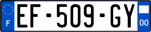 EF-509-GY