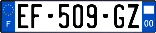 EF-509-GZ