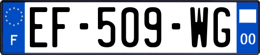 EF-509-WG