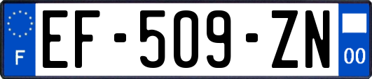 EF-509-ZN