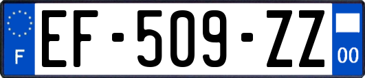 EF-509-ZZ