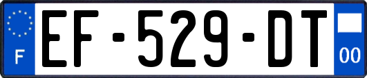 EF-529-DT