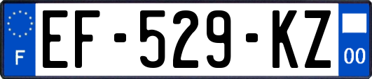EF-529-KZ