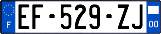 EF-529-ZJ