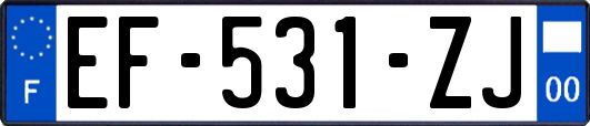 EF-531-ZJ