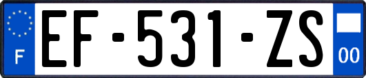 EF-531-ZS