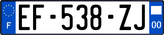 EF-538-ZJ