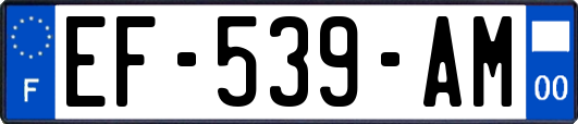 EF-539-AM