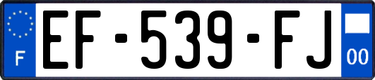 EF-539-FJ