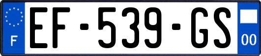 EF-539-GS