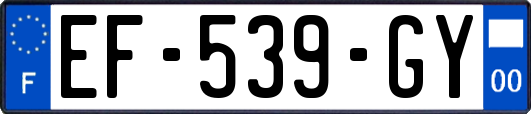 EF-539-GY