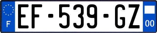EF-539-GZ