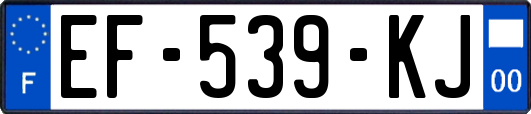 EF-539-KJ
