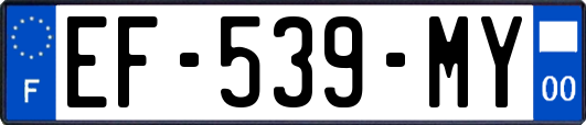 EF-539-MY