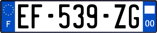 EF-539-ZG