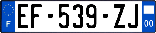 EF-539-ZJ