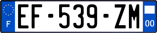 EF-539-ZM
