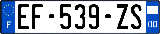 EF-539-ZS