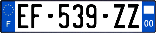 EF-539-ZZ